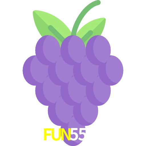 FUN5566